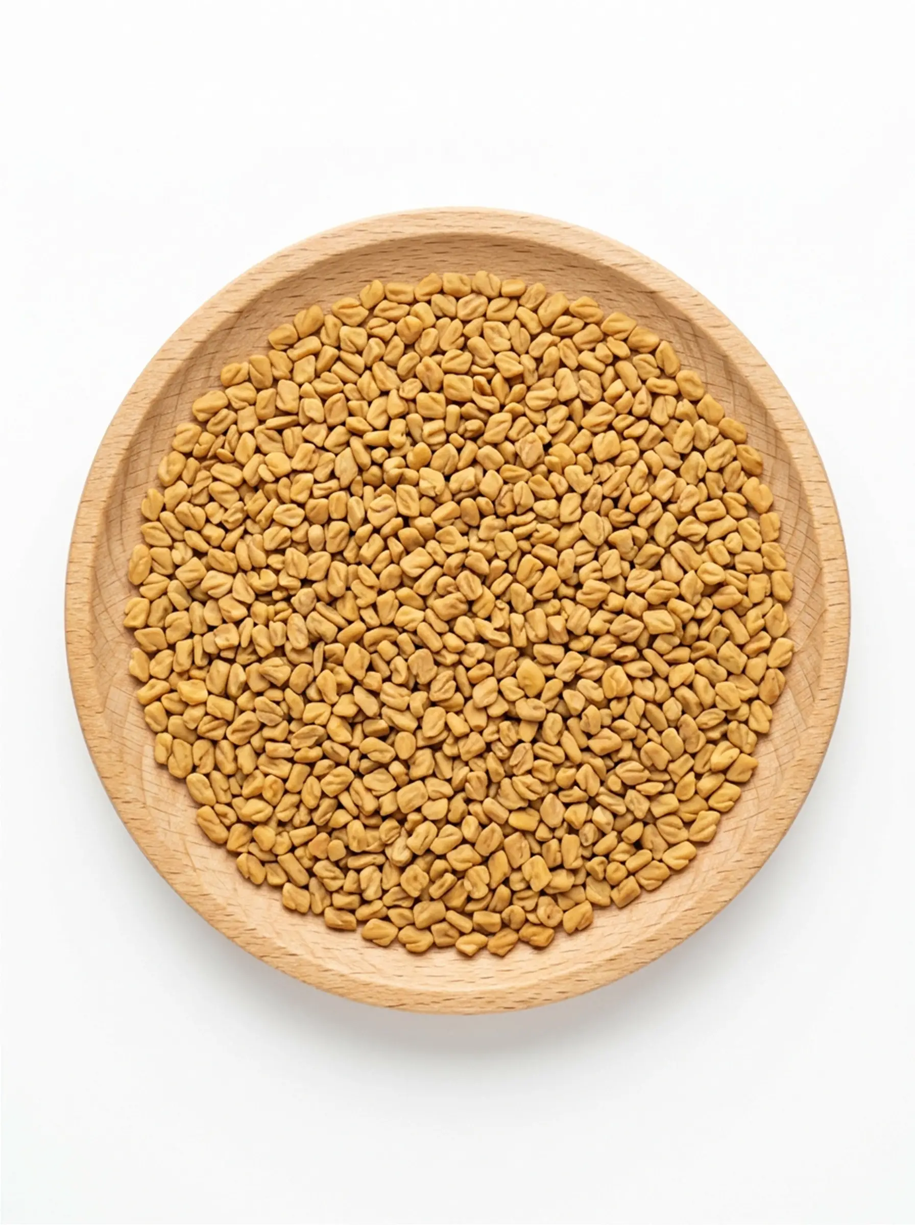 حلبة
